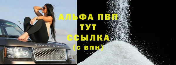 хмурый Белокуриха