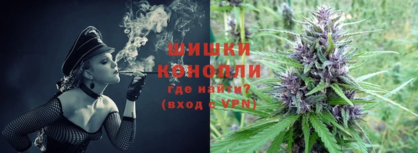 амф Богданович