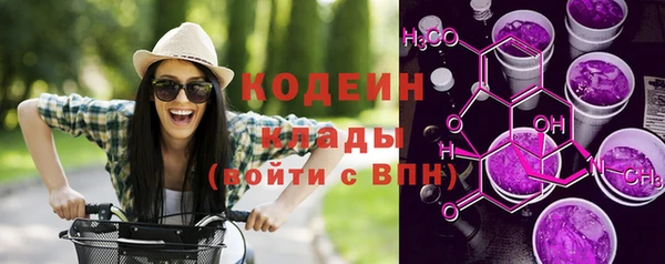 хмурый Белокуриха