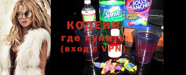 хмурый Белокуриха