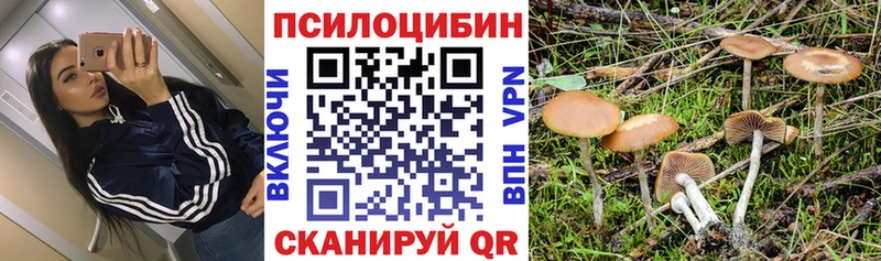 купить   площадка официальный сайт  МЕГА   Псилоцибиновые грибы прущие грибы  Новый Оскол 